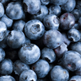 Blueberries